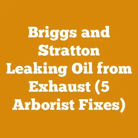 Briggs and Stratton Leaking Oil from Exhaust (5 Arborist Fixes)