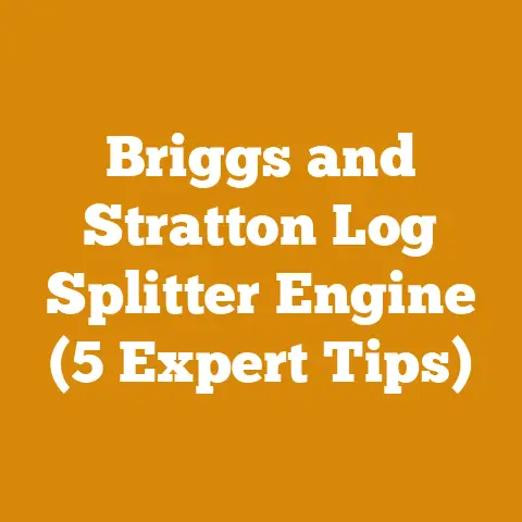 Briggs and Stratton Log Splitter Engine (5 Expert Tips)