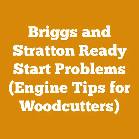 Briggs and Stratton Ready Start Problems (Engine Tips for Woodcutters)