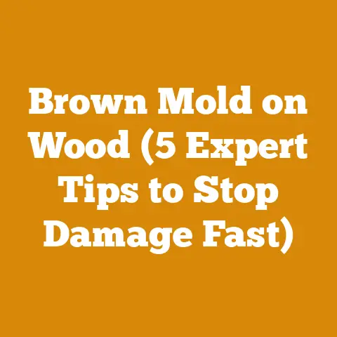 Brown Mold on Wood (5 Expert Tips to Stop Damage Fast)