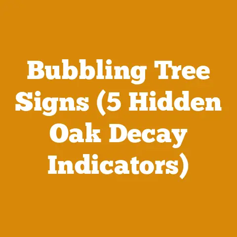 Bubbling Tree Signs (5 Hidden Oak Decay Indicators)
