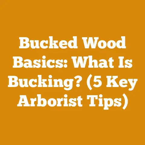Bucked Wood Basics: What Is Bucking? (5 Key Arborist Tips)