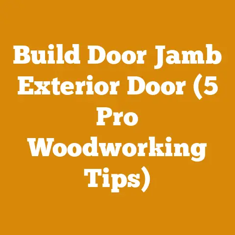 Build Door Jamb Exterior Door (5 Pro Woodworking Tips)