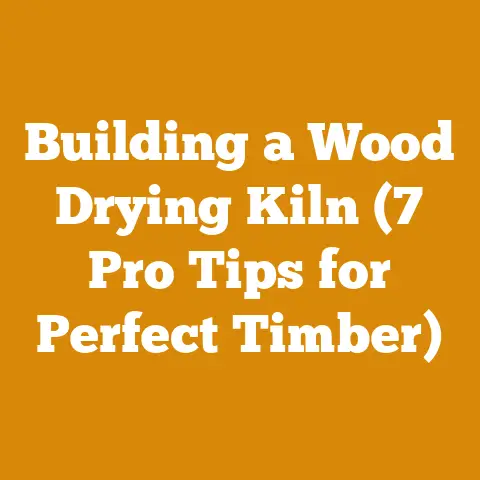 Building a Wood Drying Kiln (7 Pro Tips for Perfect Timber)