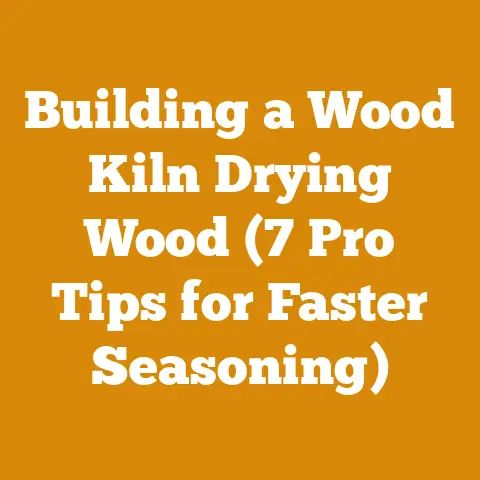 Building a Wood Kiln Drying Wood (7 Pro Tips for Faster Seasoning)