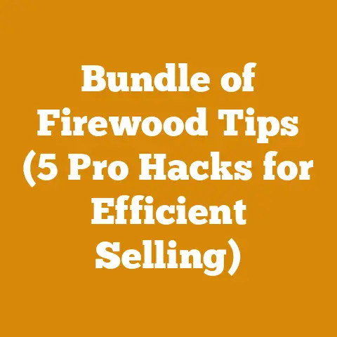 Bundle of Firewood Tips (5 Pro Hacks for Efficient Selling)