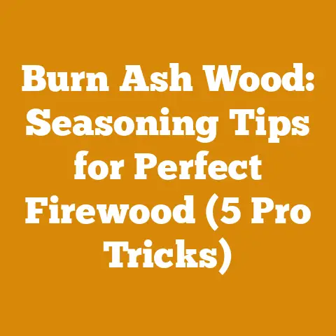 Burn Ash Wood: Seasoning Tips for Perfect Firewood (5 Pro Tricks)