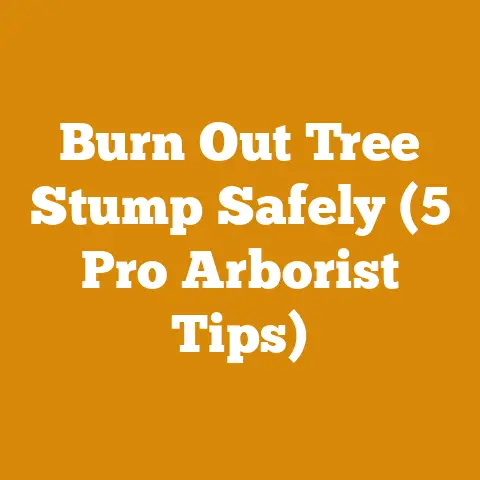 Burn Out Tree Stump Safely (5 Pro Arborist Tips)