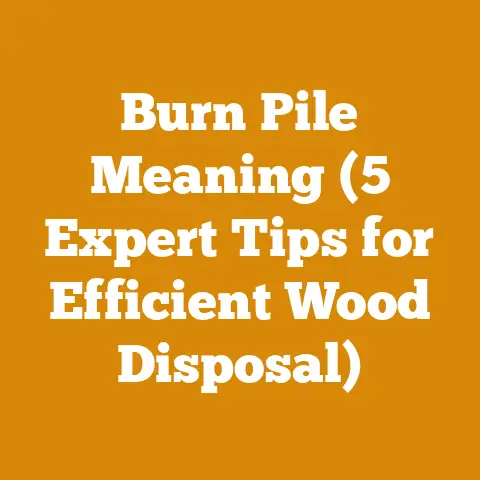 Burn Pile Meaning (5 Expert Tips for Efficient Wood Disposal)