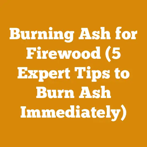 Burning Ash for Firewood (5 Expert Tips to Burn Ash Immediately)