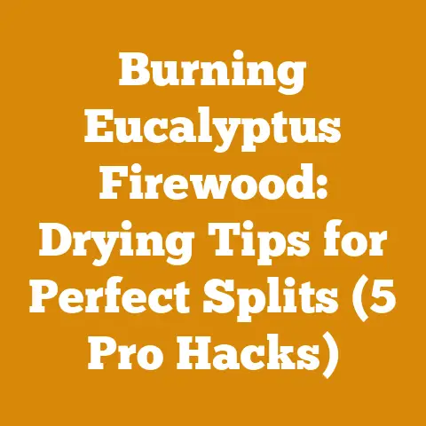 Burning Eucalyptus Firewood: Drying Tips for Perfect Splits (5 Pro Hacks)