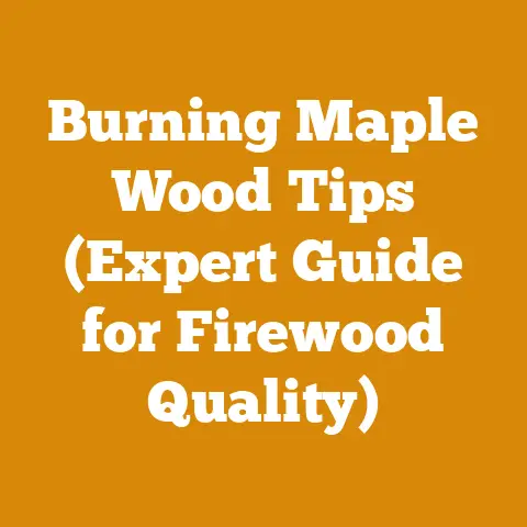 Burning Maple Wood Tips (Expert Guide for Firewood Quality)