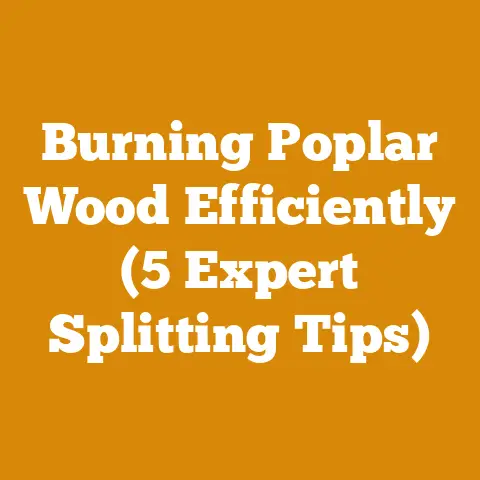 Burning Poplar Wood Efficiently (5 Expert Splitting Tips)