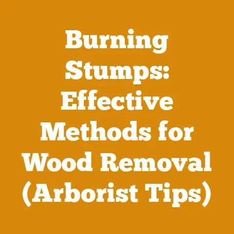 Burning Stumps: Effective Methods for Wood Removal (Arborist Tips)
