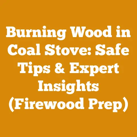 Burning Wood in Coal Stove: Safe Tips & Expert Insights (Firewood Prep)