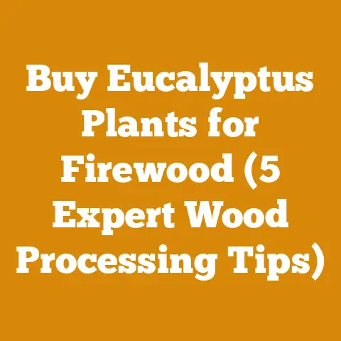 Buy Eucalyptus Plants for Firewood (5 Expert Wood Processing Tips)