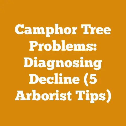 Camphor Tree Problems: Diagnosing Decline (5 Arborist Tips)