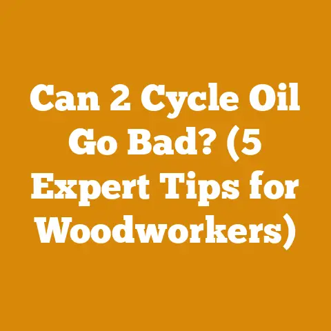 Can 2 Cycle Oil Go Bad? (5 Expert Tips for Woodworkers)