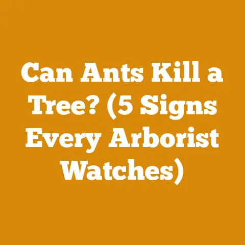 Can Ants Kill a Tree? (5 Signs Every Arborist Watches)