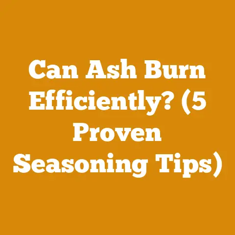 Can Ash Burn Efficiently? (5 Proven Seasoning Tips)