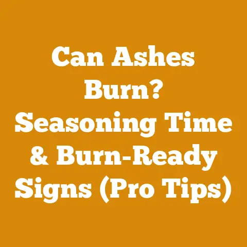 Can Ashes Burn? Seasoning Time & Burn-Ready Signs (Pro Tips)