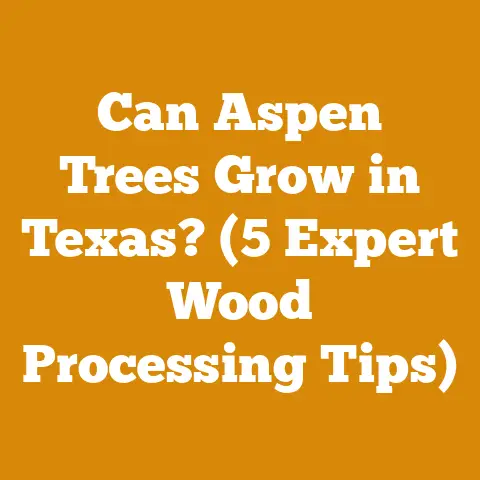 Can Aspen Trees Grow in Texas? (5 Expert Wood Processing Tips)