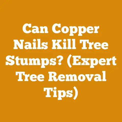 Can Copper Nails Kill Tree Stumps? (Expert Tree Removal Tips)