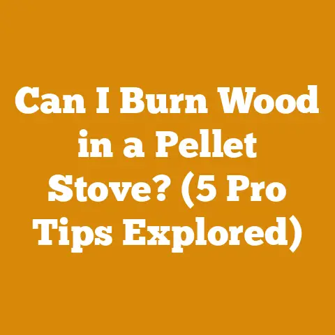 Can I Burn Wood in a Pellet Stove? (5 Pro Tips Explored)