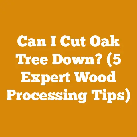 Can I Cut Oak Tree Down? (5 Expert Wood Processing Tips)