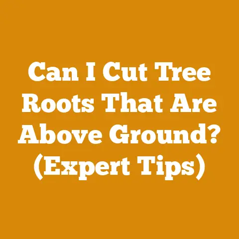 Can I Cut Tree Roots That Are Above Ground? (Expert Tips)