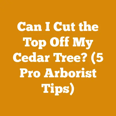 Can I Cut the Top Off My Cedar Tree? (5 Pro Arborist Tips)