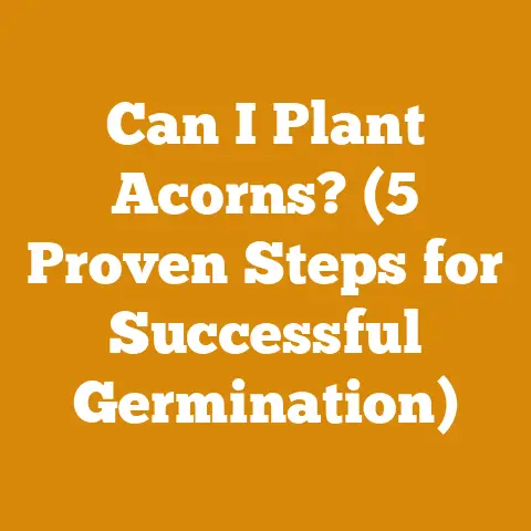 Can I Plant Acorns? (5 Proven Steps for Successful Germination)