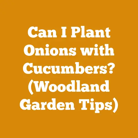 Can I Plant Onions with Cucumbers? (Woodland Garden Tips)