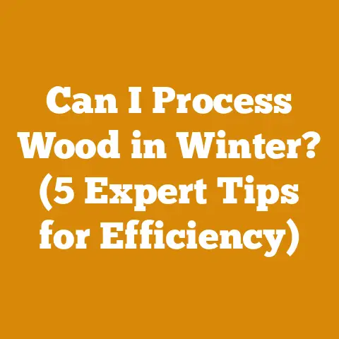 Can I Process Wood in Winter? (5 Expert Tips for Efficiency)