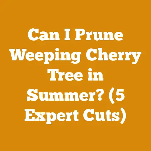 Can I Prune Weeping Cherry Tree in Summer? (5 Expert Cuts)