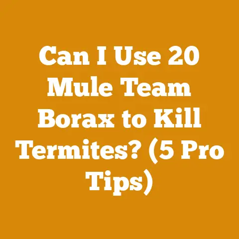 Can I Use 20 Mule Team Borax to Kill Termites? (5 Pro Tips)