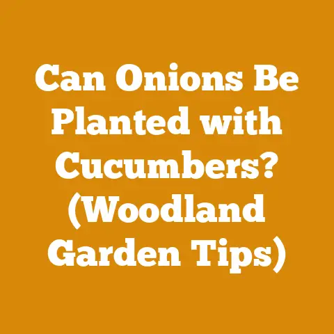 Can Onions Be Planted with Cucumbers? (Woodland Garden Tips)