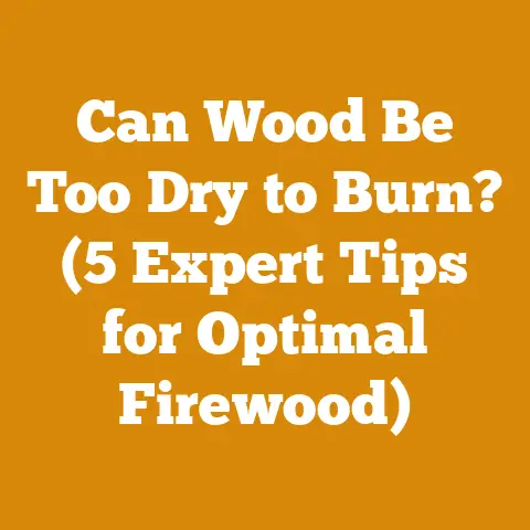 Can Wood Be Too Dry to Burn? (5 Expert Tips for Optimal Firewood)