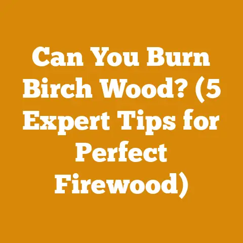 Can You Burn Birch Wood? (5 Expert Tips for Perfect Firewood)