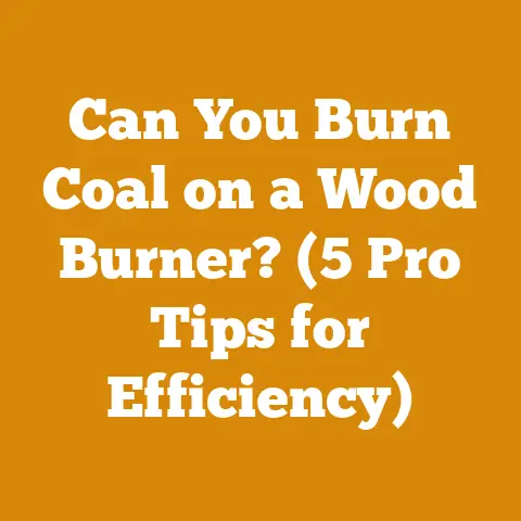 Can You Burn Coal on a Wood Burner? (5 Pro Tips for Efficiency)