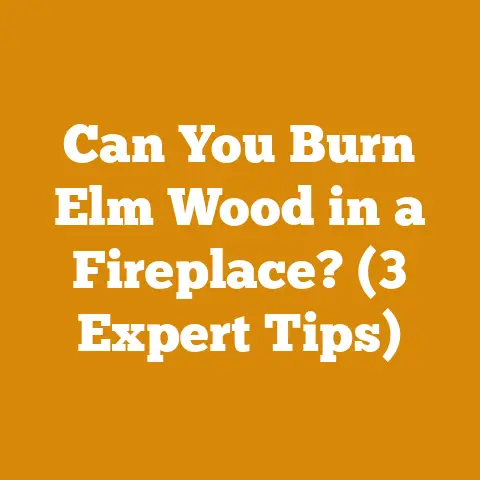 Can You Burn Elm Wood in a Fireplace? (3 Expert Tips)