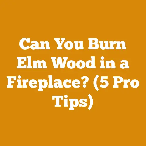 Can You Burn Elm Wood in a Fireplace? (5 Pro Tips)