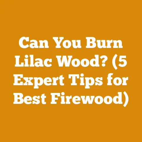 Can You Burn Lilac Wood? (5 Expert Tips for Best Firewood)