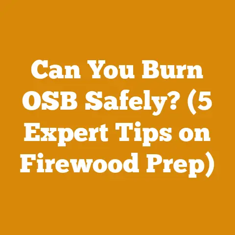 Can You Burn OSB Safely? (5 Expert Tips on Firewood Prep)