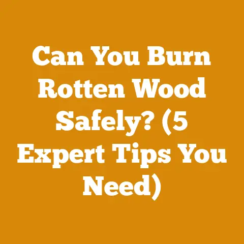 Can You Burn Rotten Wood Safely? (5 Expert Tips You Need)