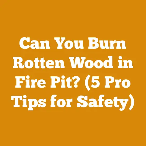 Can You Burn Rotten Wood in Fire Pit? (5 Pro Tips for Safety)