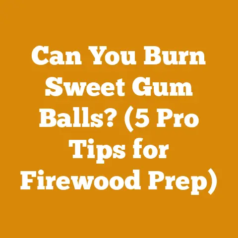 Can You Burn Sweet Gum Balls? (5 Pro Tips for Firewood Prep)