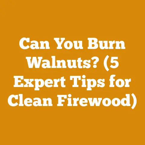 Can You Burn Walnuts? (5 Expert Tips for Clean Firewood)