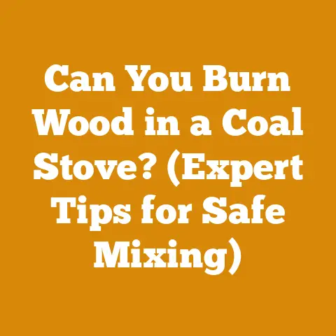 Can You Burn Wood in a Coal Stove? (Expert Tips for Safe Mixing)