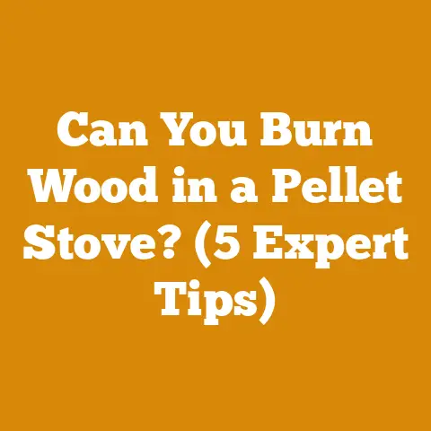 Can You Burn Wood in a Pellet Stove? (5 Expert Tips)